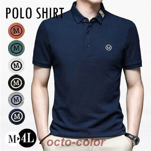 |Vc St| Y ĕ gbvX | POLO Vc z  304050 X|[cEFA StEFA 傫TCY 304050