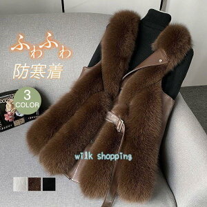 t@[xXg єxXg fB[X ؍  GRt@[ Vv IV  ~ ӂӂ OJ gbvX