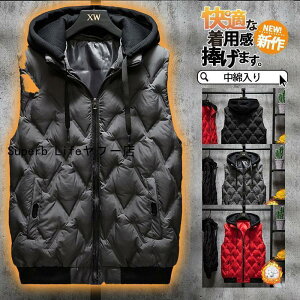 StEGA StxXg _ExXg Y ȃxXg h t[ht H~ ނ fB[X AEghA ƒ g  LeBO