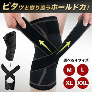 GT|[^[ p T|[^[ X|[c G  Gpbg G ɂ Ђ 傫TCY Ep  e[sOT|[^[