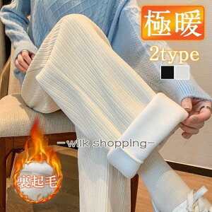 WK[pc fB[X XEFbgpc 2type C[W[pc  N X|[cEFA [EFA H~ 