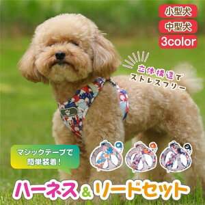  n[lX ^ Č pn[lX [hZbg v 킢 ^ gCv[h EȂ n[lX