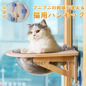 LnbN  FD^ Lxbh Lbgxbh lR ͋z   NA{E tȒP zՃnbN Q  lGp