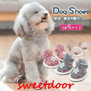 p ybgp ̌C C hbOV[Y LoXV[Y fjV[Y [XAbvV[Y ^C یV[Y ^ ^ U