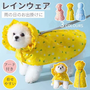  CEFA ^ ^ CR[g Jt[ht ybgCEFA |` ~J΍ ̕ ybgpi CObY JJbp CEGA