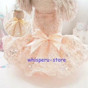   ̕ pi hbOEFA EFfBOhX s[X [X p[eB[hX  ybgEFA ybgObY { m Be