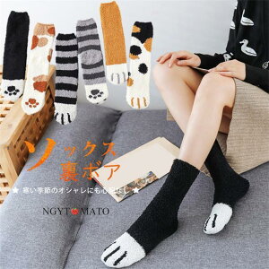 [\bNX ~ C {A \bNX V[g Nу\bNX  C ۉ g ݑΖ h ₦΍ h΍