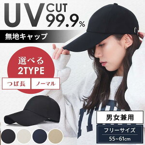 Lbv Y 50 [ n fB[X Xq 40 傫 傫  ~ uv O  S