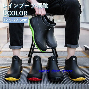 Cu[c CV[Y C Y fB[X V[g y h JC V[gu[c o[V[Y JWA ʋ ʊw