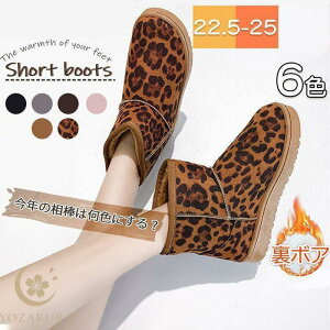 [gu[c fB[X V[g {A qE ₷ hu[c ₷ g y ~ t@[ ɂ 