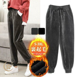 XEFbgpc WK[pc fB[X {A N g Y{ X|[c  [EFA JWA ̌^Jo[ r H~