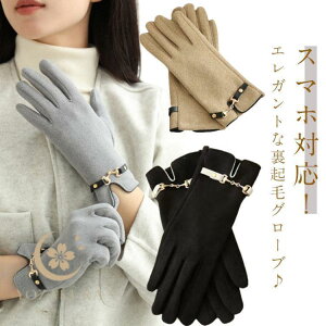  fB[X hO[u N X}zΉ X}z ܖ{w g  h ۉ H ~   _炩 ӂӂ ʊw 