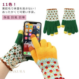 n X}zΉ  Y fB[X g 킢 5{w jbg   ۉ ₦΍ ₦ t H ~ h h ΍