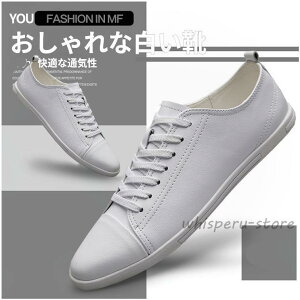 Xj[J[ Y rWlXV[Y am   V[Y JWA  H ~ ʋ΂ɂ