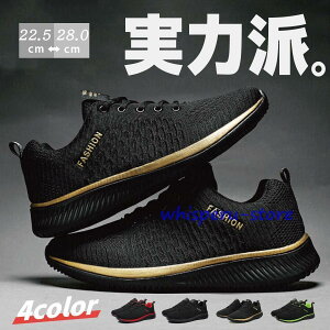 jOV[Y Y fB[X Xj[J[ EH[LOV[Y X|[cV[Y ^C ubN  Ȃ y ʊw ʋ d 