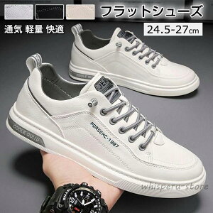 Xj[J[ C Y l YV[Y YXj[J[ ʋC y _炩 tbgV[Y X|[c  LC y C K ʊw ʋ