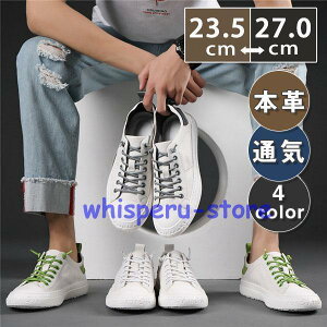 Xj[J[ Y EH[LO JWAV[Y {v C ʊw ʋ p t H ~ AE^[ zCg ʋC K X|[c CjO