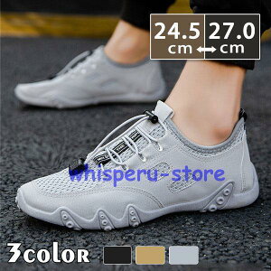 Xj[J[ Y EH[LO JWAV[Y bV [N Xb| C ʊw ʋ n t H ~ ʋC WMO St