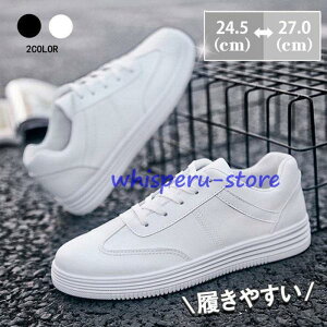 Xj[J[ Y IbNXtH[hV[Y JWA EH[LO C C AEghA ʊw ʋ t H