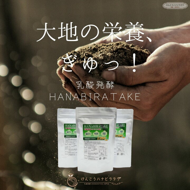 楽天市場】【送料無料】乳酸発酵HANABIRATAKE 30包｜約1ヶ月分～【顆粒 