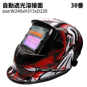 Ռnږ nږ30 Ռ nڃ}XN x Ռx1/25000b \[[dr̗p