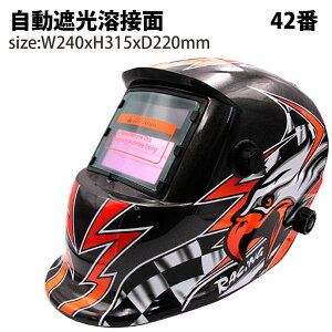 Ռnږ nږ42 Ռ nڃ}XN x Ռx1/25000b \[[dr̗p