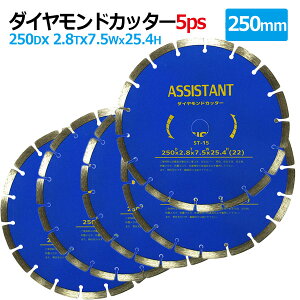 5Zbg_ChJb^[ 250mm ZOg p RN[g ؒf ؍ _Ch n ubN ^C K