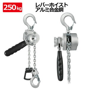 o[zCXg ő\0.25t(250kg) / `F[zCXg ݏグ ʊ|  qɃK[W