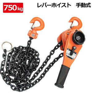 o[zCXg ő\0.75t(750kg) / `F[zCXg ݏグ ʊ|  qɃK[W