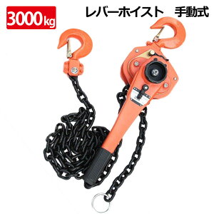 o[zCXg ő\3.0t(3000kg) / `F[zCXg ݏグ ʊ|  qɃK[W