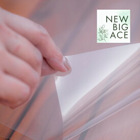 PETフィルム 片面剥離 A4サイズ 5枚セット 紙 透明剥離紙 シール台紙 シール帳 貼って剥がせる PET フィルム はがせる シールブック クリア シール 台紙 透明 剥離シート 剥離紙 210×297 軽く剥がせる フレークシール