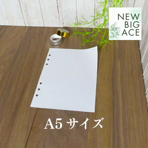 ʔ  A5TCY 6 10Zbg 蒠p 蒠TCY   V[ V[ 蒠TCY