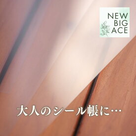 PETフィルム 両面剥離紙 A5サイズ 10枚セット 紙 透明剥離紙 シール台紙 シール帳 貼って剥がせる PET フィルム はがせる シールブック クリア 148×210 台紙 透明 剥離シート軽く剥がせる フレークシール シール