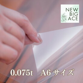 PETフィルム 両面剥離 A6 20枚セット 剥離紙 軽く剥がせる フレークシール 紙 透明剥離紙 シール台紙 シール帳 貼って剥がせる PET フィルム はがせる シールブック クリア 台紙 透明 剥離シート シール