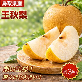 【予約販売・産地直送】鳥取県産 王秋梨 3kg みずみずしい大玉 11月上旬順次発送