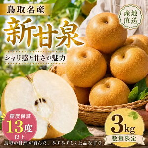 �Z�[��xP3�{ ��s�\�� ���ʌ��� 2026�N9������ ���挧�Y �V�Ð� �� 3kg �������� �_�ƒ��� ��� �a�� �Ȃ� �Â� �݂��݂����� �W���[�V�[ �{�̉ʕ� �v���~�A�� ���񂩂񂹂� �̂ꂽ�� �M�t�g ��