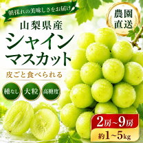 楽天市場】勝沼 シャインマスカット 山梨の通販