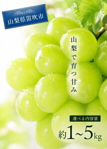 ���i�摜