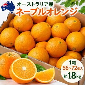 オーストラリア産 ネーブルオレンジ 約18kg 1箱 56～72個入り オレンジ ネーブル 柑橘 フルーツ 果物 大容量 業務用 箱買い 箱売り まとめ買い お徳用 ジューシー 果汁たっぷり 家庭用 贈答用 贈答品 フルーツギフト ギフト 贈り物 プレゼント お祝い お礼 お返し