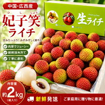 楽天市場】ライチ 2kgの通販