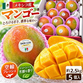 【送料無料】メキシコ産 マンゴー 約2.5kg～5kg メキシコマンゴー 空輸便 トロピカルフルーツ 南国フルーツ 果物 フルーツ 完熟 ジューシー 新鮮 濃厚な甘み 旬の味覚 ギフト 贈答用 お中元