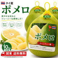 【タイ産】ポメロ グリーンポメロ 文旦 ザボン 約10kg（8～12玉） 約5kg（4～6玉） 南国フルーツ 柑橘 果…