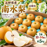【長野県産】南水梨 約5kg 1箱 10～14個入り 南水 なんすい 梨 なし ナシ 和梨 赤梨 高糖度 甘い ジュー…