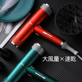 【楽天Fashion 50%OFF】ドライヤー 大風量 速乾 恒温保護 美髪 ヘアドライヤー ヘアケア ツヤ髪 美容家電 おすすめ 3段階調節 男女兼用 軽量 美容師 送料無料