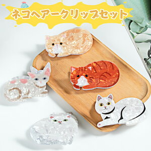 wA[Nbv wAANZT[ wA[nh  lR ˂ L tFCX oXNbv Vv  ׂb  l fB[X  LbYq L LObY ˂ObY L