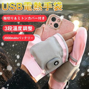 dMO[u Y dM fB[X USB[d  Jo[t 2000mAh LEDtfBXvC 3iKx wȂ