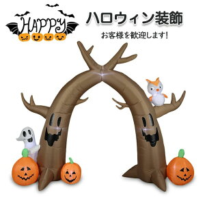 2.4M GA[fBXvC pvLA[`ynEB   A[P[h u 傫u ڂ J{` GAu[ GAo