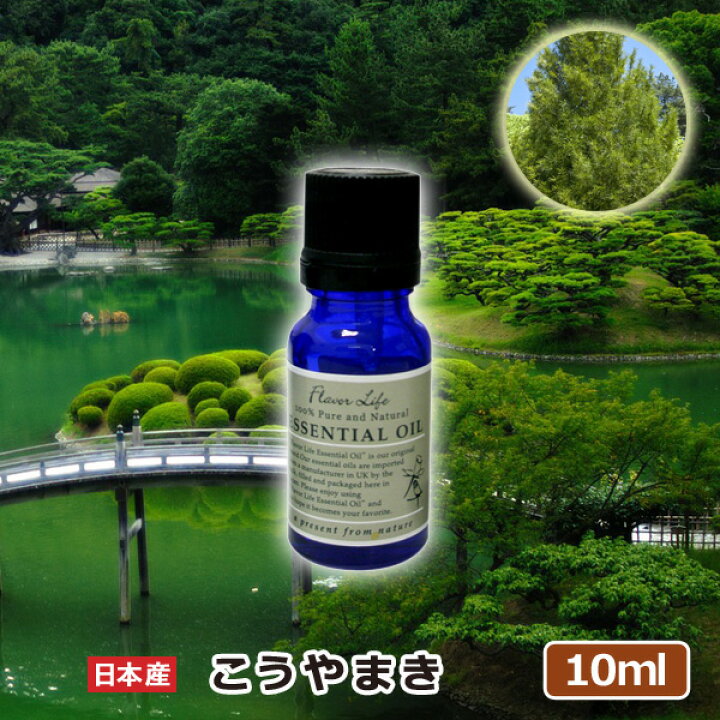 楽天市場 エッセンシャルオイル こうやまき 10ml Aeaj認定精油 高品質 100 ピュア 精油 人気 アロマテラピー ディフューザー ルームフレグランス 手作りコスメ 材料 フレーバーライフ 癒し アロマグッズ リラックスグッズ 新生活応援 Toko