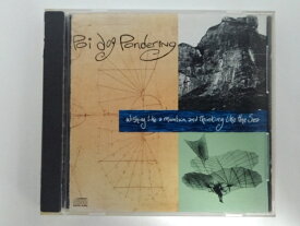 ZC10856【中古】【CD】wishing Like a mountain and Thinking Like the sea/poi dog pondering(輸入盤)