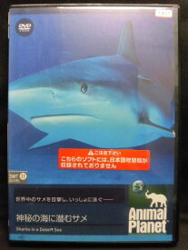 楽天市場 アニマルプラネット Dvdの通販